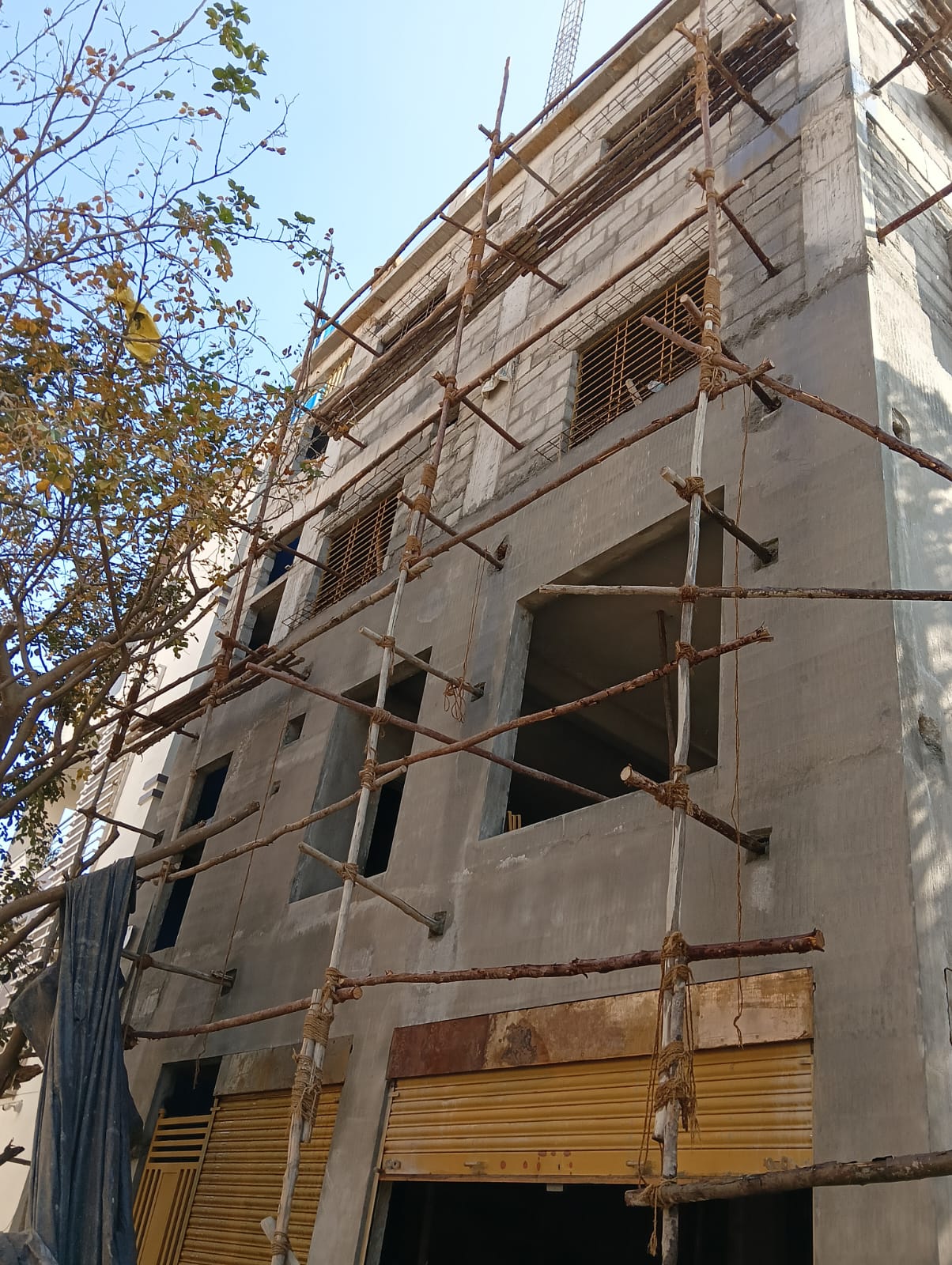Ongoing Project 7